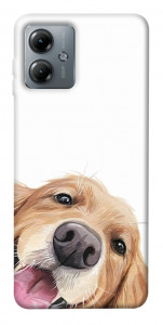 Чехол Funny dog для Motorola Moto G14