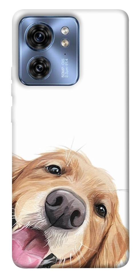 Чехол Funny dog для Motorola Edge 40