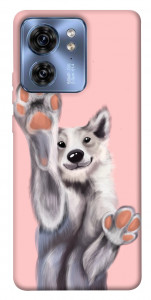 Чохол Cute dog для Motorola Edge 40