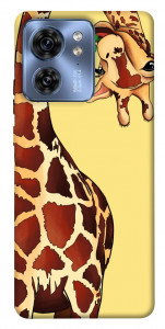 Чохол Cool giraffe для Motorola Edge 40