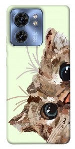 Чохол Cat muzzle для Motorola Edge 40