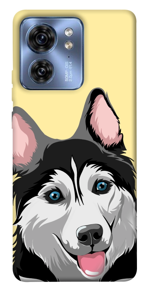 Чохол Husky dog для Motorola Edge 40