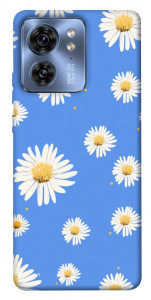 Чохол Chamomile pattern для Motorola Edge 40