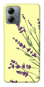 Чехол Lavender art для Motorola Moto G14