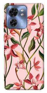 Чохол Floral motifs для Motorola Edge 40