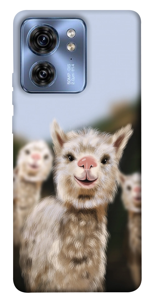 Чохол Funny llamas для Motorola Edge 40