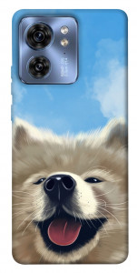 Чохол Samoyed husky для Motorola Edge 40