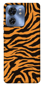 Чехол Tiger print для Motorola Edge 40