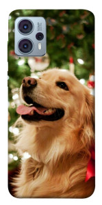 Чехол New year dog для Motorola Moto G23