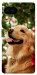 Чохол New year dog для Google Pixel 7A