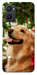 Чехол New year dog для Oppo A36