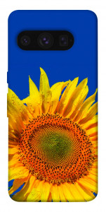 Чохол Sunflower для Google Pixel 8 Pro