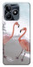 Чехол Flamingos для Realme C53