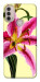 Чохол Lily flower для Motorola Moto E30