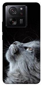 Чохол Cute cat для Xiaomi 13T Pro