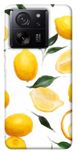 Чохол Lemons для Xiaomi 13T Pro