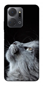 Чохол Cute cat для Huawei Honor X7a