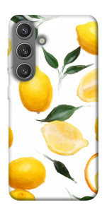 Чохол Lemons для Galaxy S24+