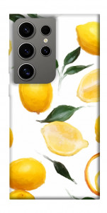 Чохол Lemons для Galaxy S24 Ultra