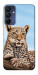 Чехол Proud leopard для Galaxy A15