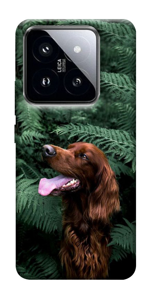 Чохол Собака у зелені для Xiaomi 14 Pro