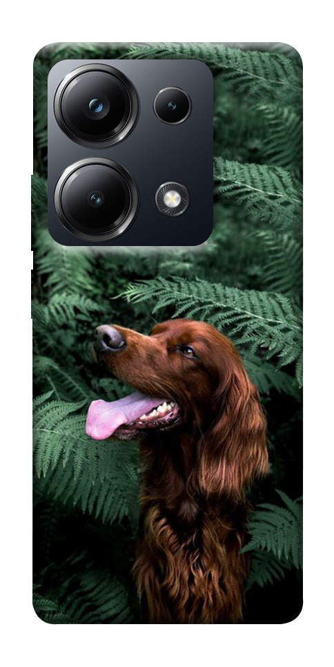 Чохол Собака у зелені для Xiaomi Poco M6