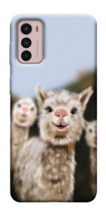 Чохол Funny llamas для Motorola Moto G42