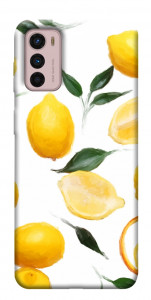 Чехол Lemons для Motorola Moto G42