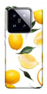 Чохол Lemons для Xiaomi 14 Pro