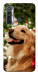 Чехол New year dog для TECNO Camon 17