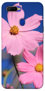 Чехол Розовая ромашка для Oppo A7