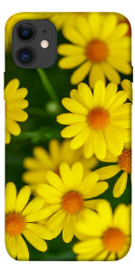 Чехол Yellow chamomiles для iPhone 11