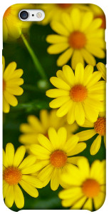 Чехол Yellow chamomiles для iPhone 6 (4.7'')