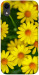 Чохол Yellow chamomiles для iPhone XR