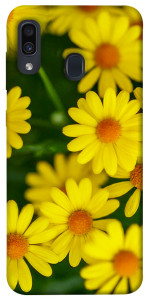 Чехол Yellow chamomiles для Samsung Galaxy A30