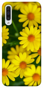 Чохол Yellow chamomiles для Samsung Galaxy A50 (A505F)