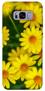 Чехол Yellow chamomiles для Galaxy S8+