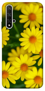 Чехол Yellow chamomiles для Huawei Nova 5T