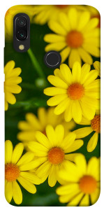 Чехол Yellow chamomiles для Xiaomi Redmi 7