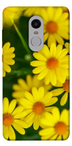 Чехол Yellow chamomiles для Xiaomi Redmi Note 4 (Snapdragon)