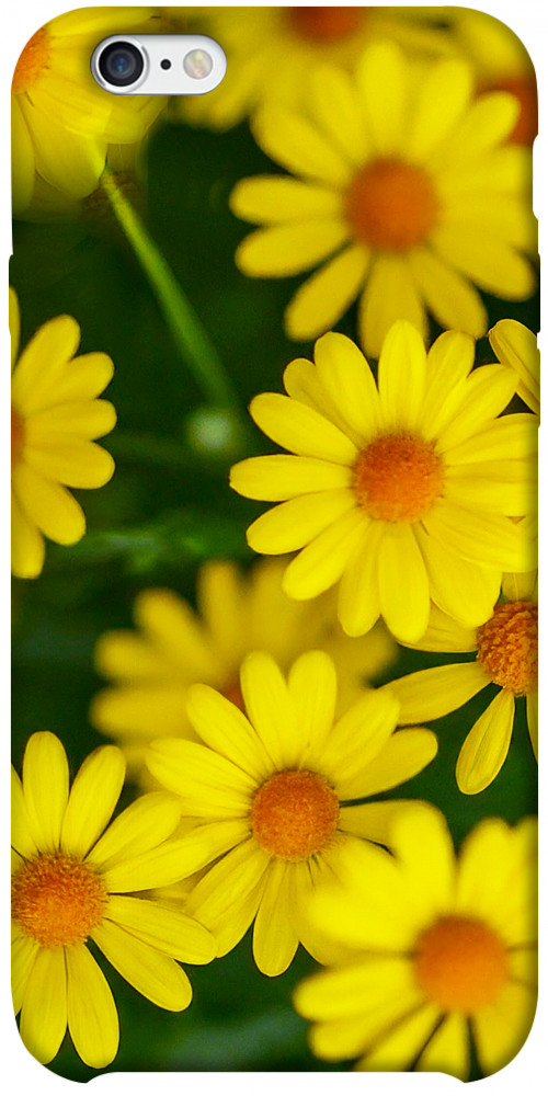 Чехол Yellow chamomiles для iPhone 6S Plus