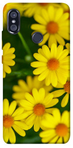 Чехол Yellow chamomiles для Xiaomi Redmi Note 5 (DC)