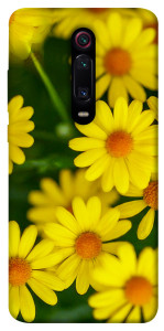 Чохол Yellow chamomiles для Xiaomi Mi 9T Pro