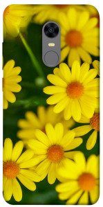 Чехол Yellow chamomiles для Xiaomi Redmi 5 Plus