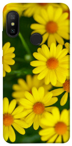 Чехол Yellow chamomiles для Xiaomi Redmi 6 Pro