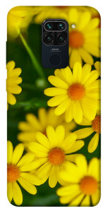 Чехол Yellow chamomiles для Xiaomi Redmi 10X