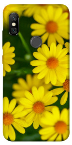 Чехол Yellow chamomiles для Xiaomi Redmi Note 6 Pro