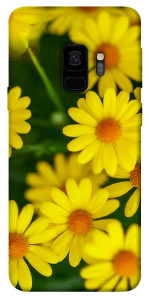 Чехол Yellow chamomiles для Galaxy S9
