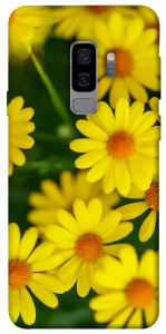 Чехол Yellow chamomiles для Galaxy S9+