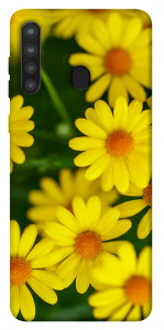 Чехол Yellow chamomiles для Galaxy A21